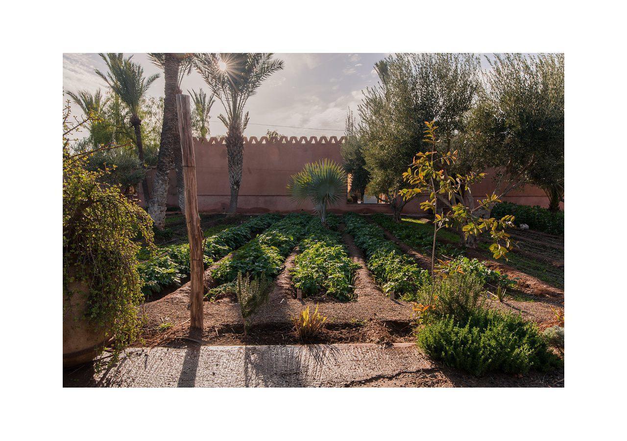 Villa 55 Marrakech マラケシュ エクステリア 写真