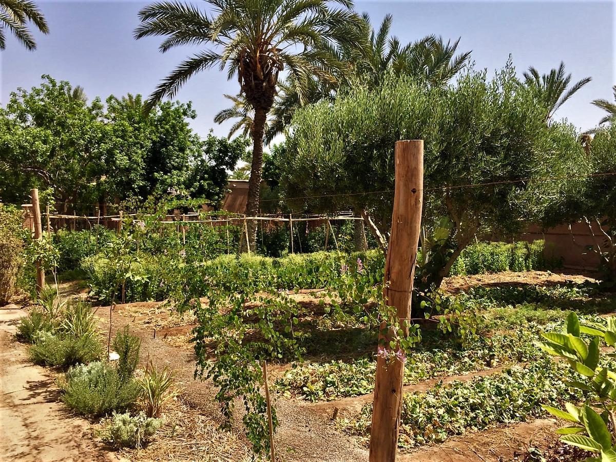 Villa 55 Marrakech マラケシュ エクステリア 写真